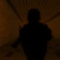 Shadow Friend