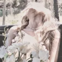 Y/N