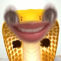 Na