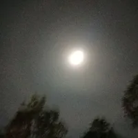 pu