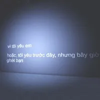 nv phụ