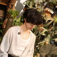 Trần Dịch Hằng_D