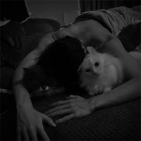 Song Tử@caylap.3m