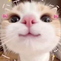 Quỳnh