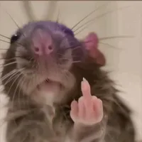 t/g skibidi