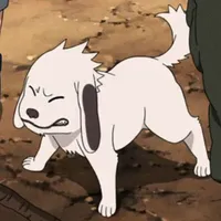 akamaru
