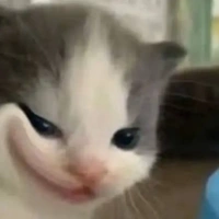 T/g