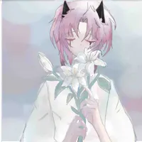 hiha alpha