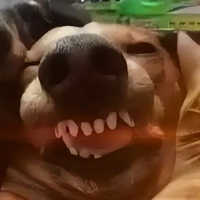thk hướng dẫn