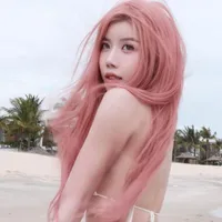 Nguyễn Thùy Trang 莊法