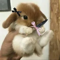 Tomiyama Chouji_@Chhojj.t0_0mymaa