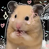 Mogami Taishi_@Tashii.moogmi