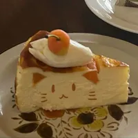 Sako Kota_@Kot.saako_o