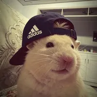 Kurita Junpei_@Jnp3i_kurta