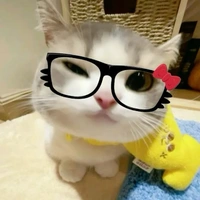 hệ thống[kin]