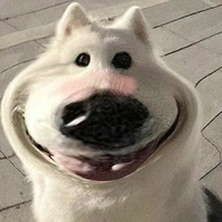 t/g khùng