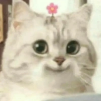 Hệ thống