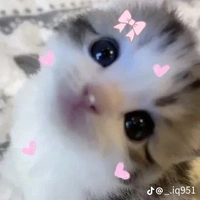All