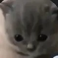Mai ( nhóc )