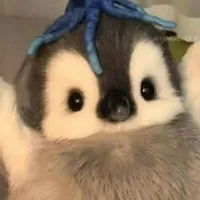hệ thống xàm l*n