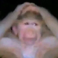 ALL
