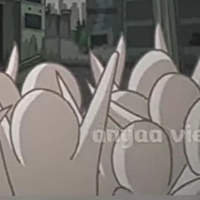 khán giả nước long