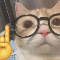 ?   ?   ?