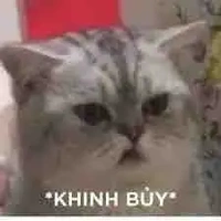 cân mọi nv 