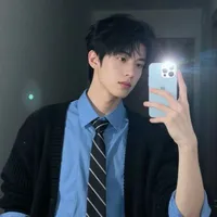 Trịnh Gia Huy_Gemini