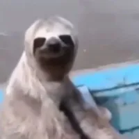t/g