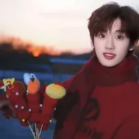 Đinh Trình Hâm