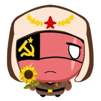 t/g simê ussr