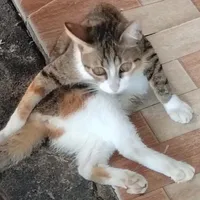 Đức
