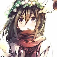 mikasa