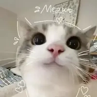 - yuriki - [ hệ thống của hiha ]