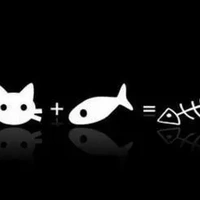 Catfish