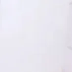 NPC
