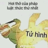 T/g