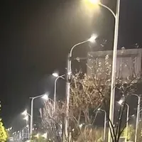 nv phụ nam
