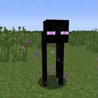 endermen