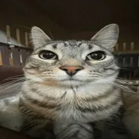 All