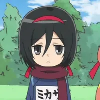 mikasa