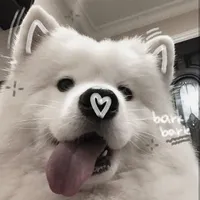 Tác giả💙
