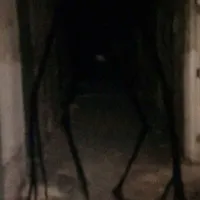 ???
