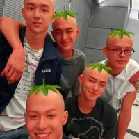 t/g mê cỏ tí