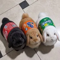 All