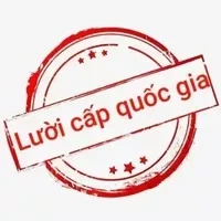 T/g[yii]
