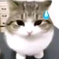 ？？？