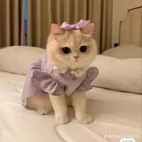 Hệ thống 999 