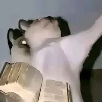 T/g lé biên